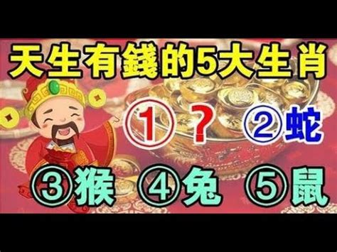 生肖 座向|十二生肖宅運大公開